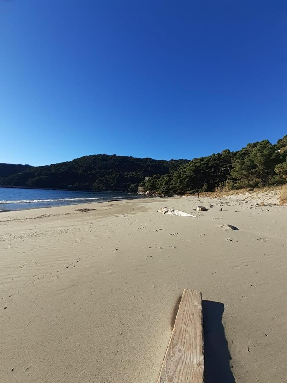 Apartment Nadine Mljet Mit Meerblick Okuklje Eksteriør billede