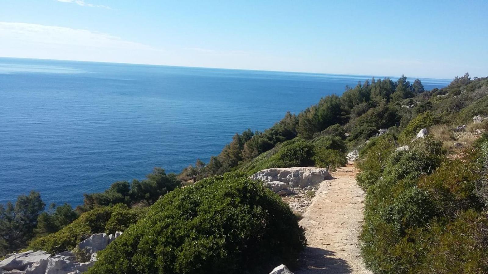 Apartment Nadine Mljet Mit Meerblick Okuklje Eksteriør billede